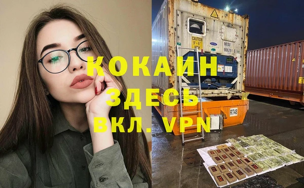 дмт Богородск