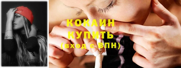 стафф Богданович