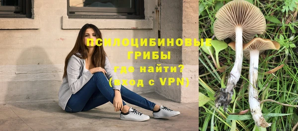 дмт Богородск