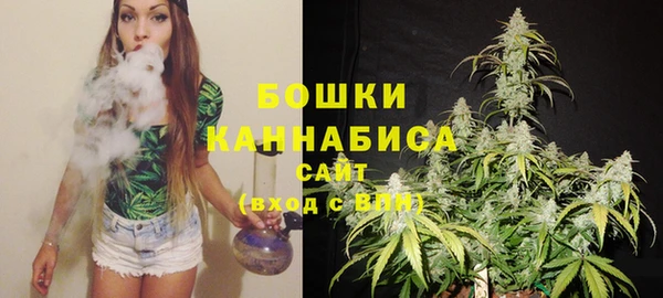 a pvp Белокуриха