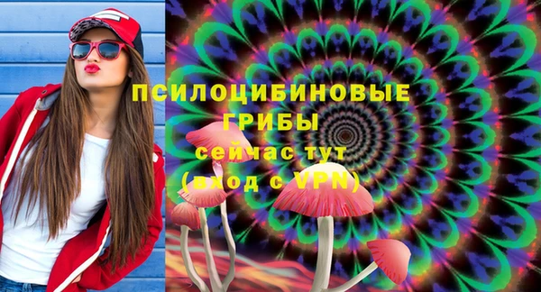 стафф Богданович